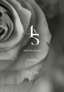 4x5 BnW - Day By Day 2023