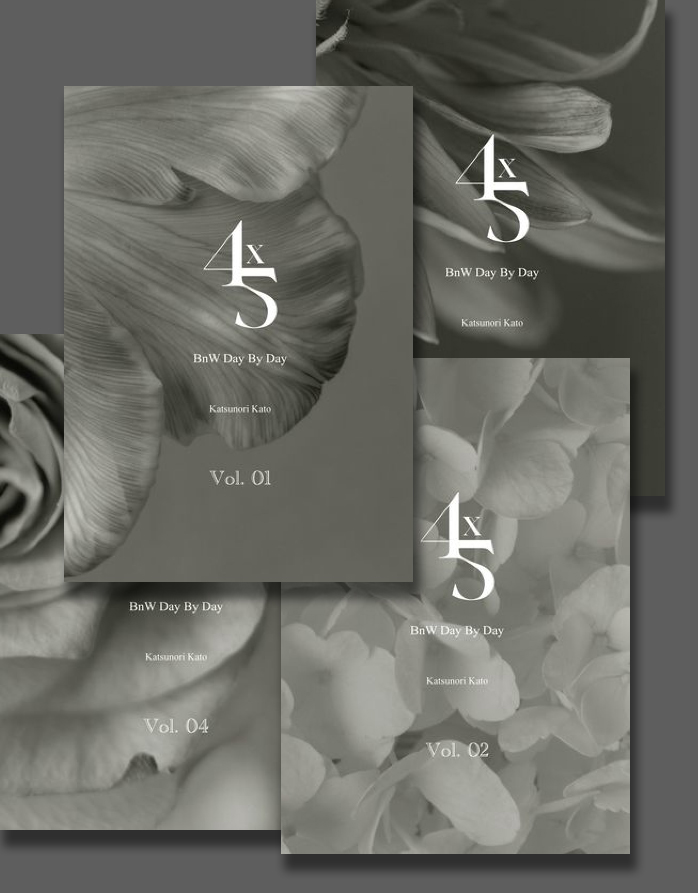 4x5 BnW - Day By Day 2023