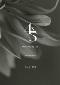 4x5 BnW - Day By Day 2023